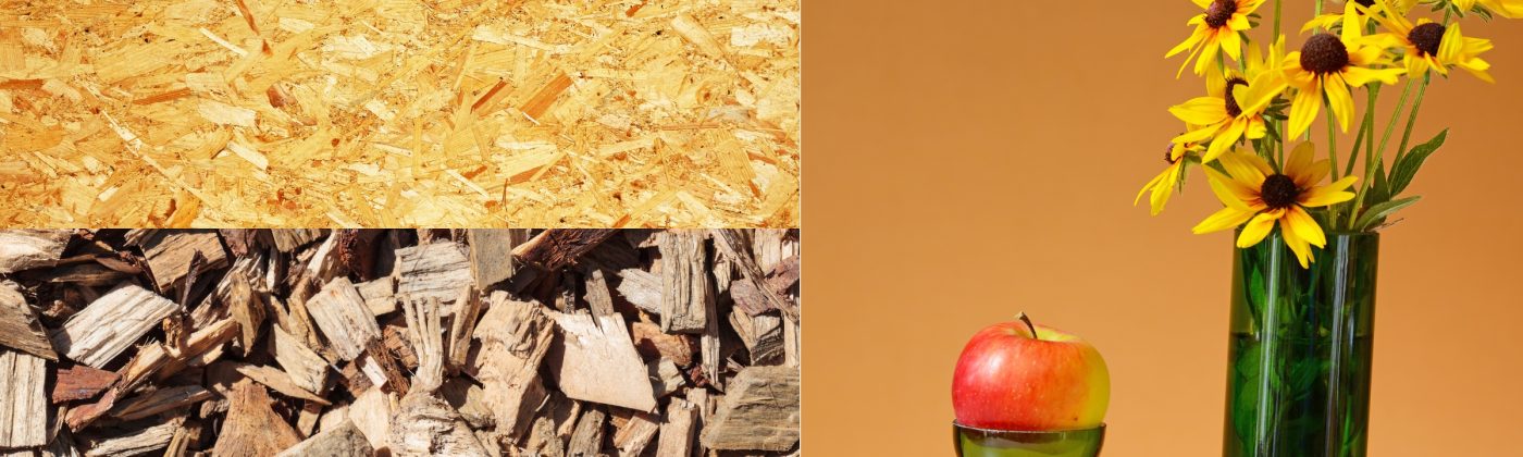 g4 URHOUSE Studios - Your house - Our Care