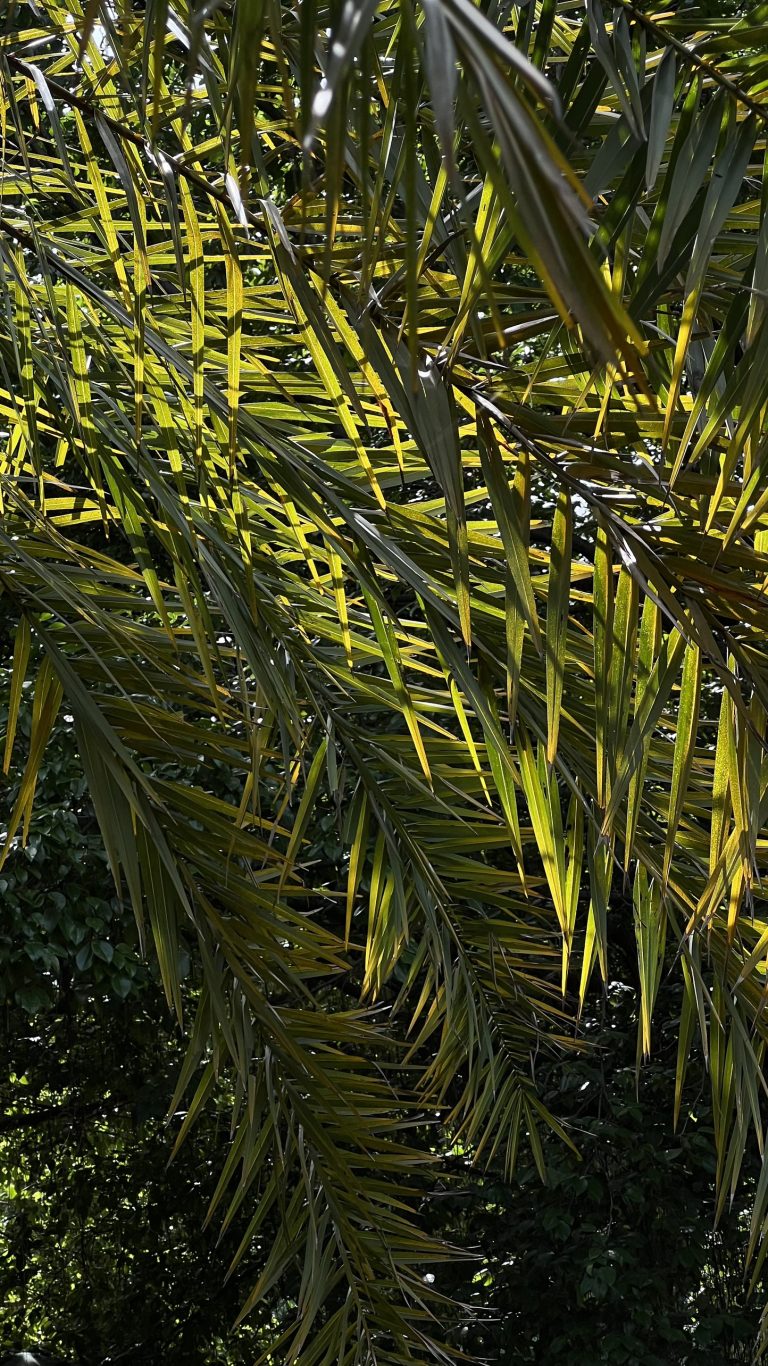 Peaceful morning at URHOUSE Studio.