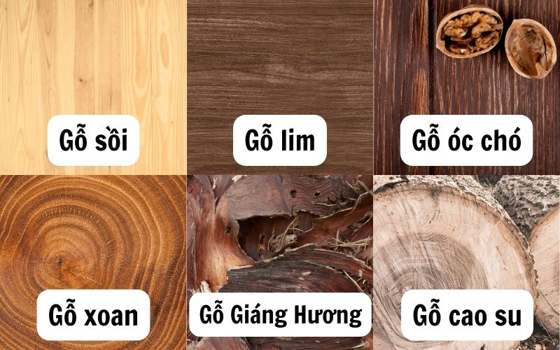 GỖ TỰ NHIÊN LÀ GÌ? CÁC LOẠI GỖ TỰ NHIÊN PHỔ BIẾN BẠN NÊN BIẾT 3 GỖ TỰ NHIÊN LÀ GÌ? CÁC LOẠI GỖ TỰ NHIÊN PHỔ BIẾN BẠN NÊN BIẾT