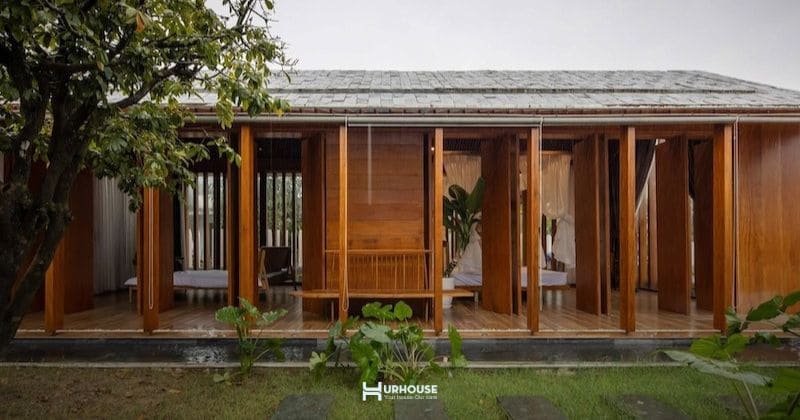 Top 7 loại cây cho phong cách Japandi điểm chạm của thiên nhiên và tối giản 2 Top 7 loại cây cho phong cách Japandi đủ tinh