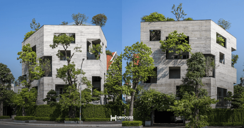 Thiết kế không gian biệt thự vườn cân bằng thiên nhiên và tiện nghi sống