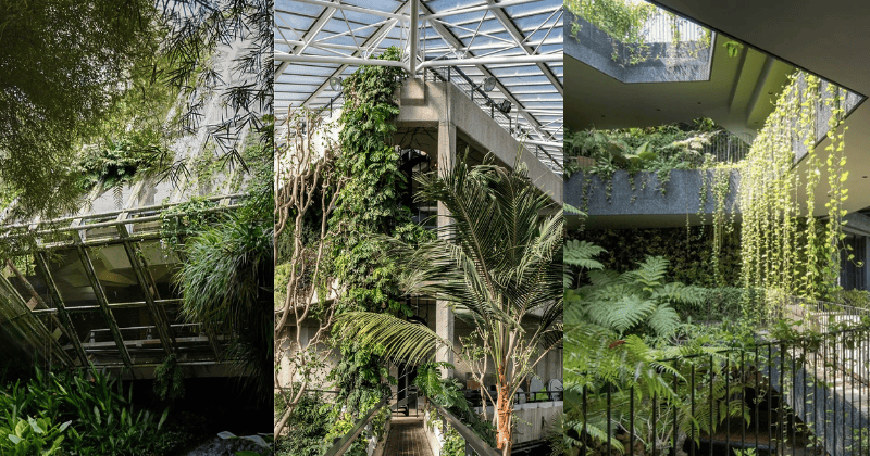 Tìm hiểu 10 phong cách thiết kế nhà vườn phổ biến từ kiến trúc đến nội thất