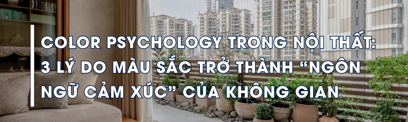 Color Psychology trong thiết kế nội thất hiện đại với gam màu trung tính và ánh sáng tự nhiên