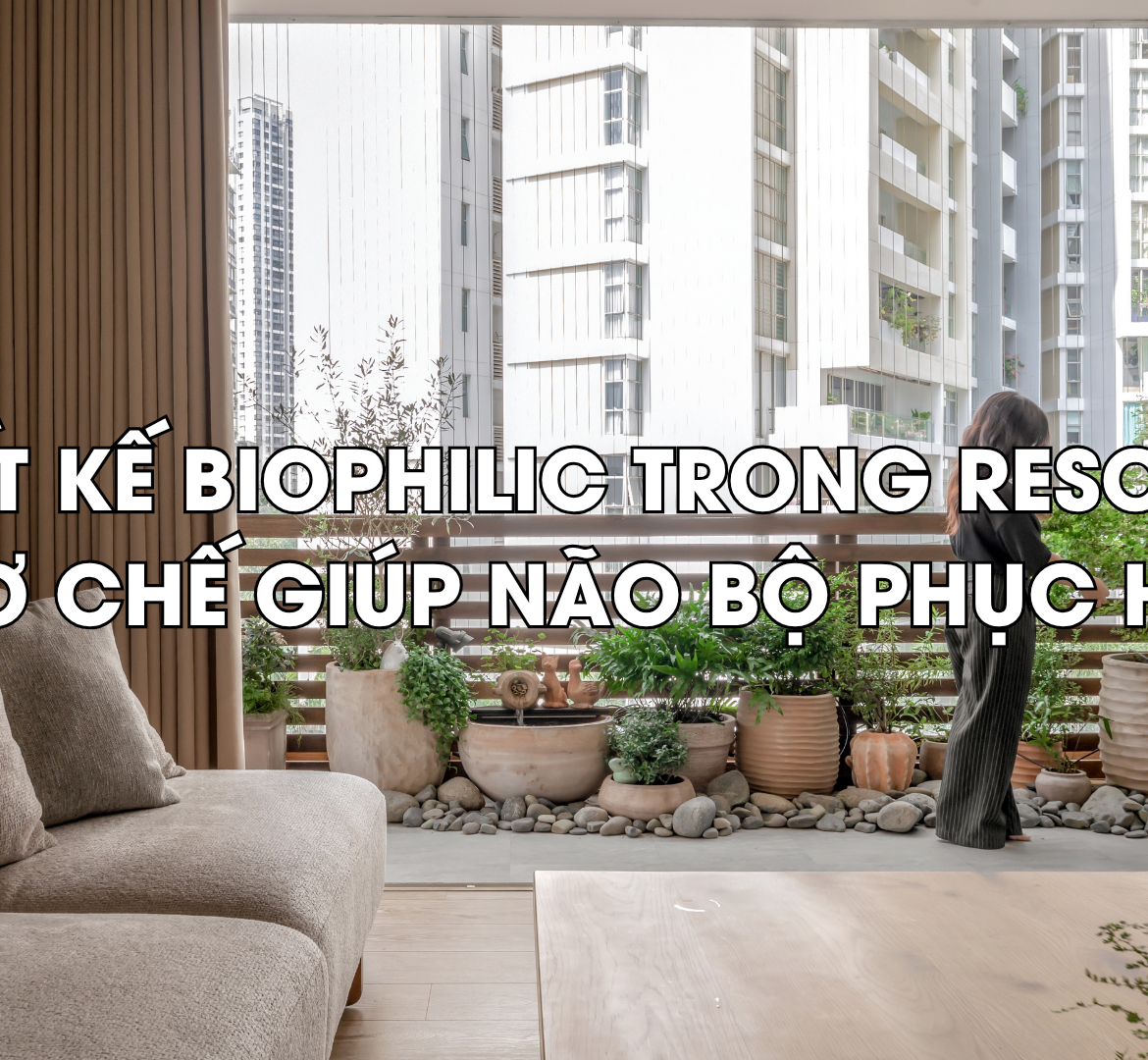 Thiết kế biophilic giúp não bộ phục hồi nhanh hơn