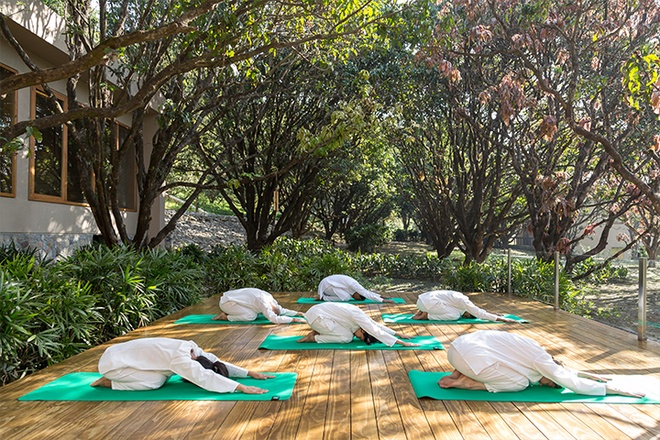 THIẾT KẾ BIOPHILIC TRONG RESORT: 3 CƠ CHẾ GIÚP NÃO BỘ PHỤC HỒI
